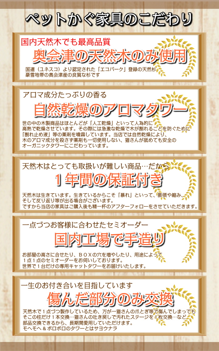 すぎにゃんとは2