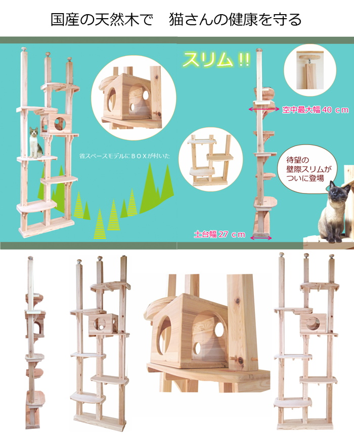 すぎにゃんとは4