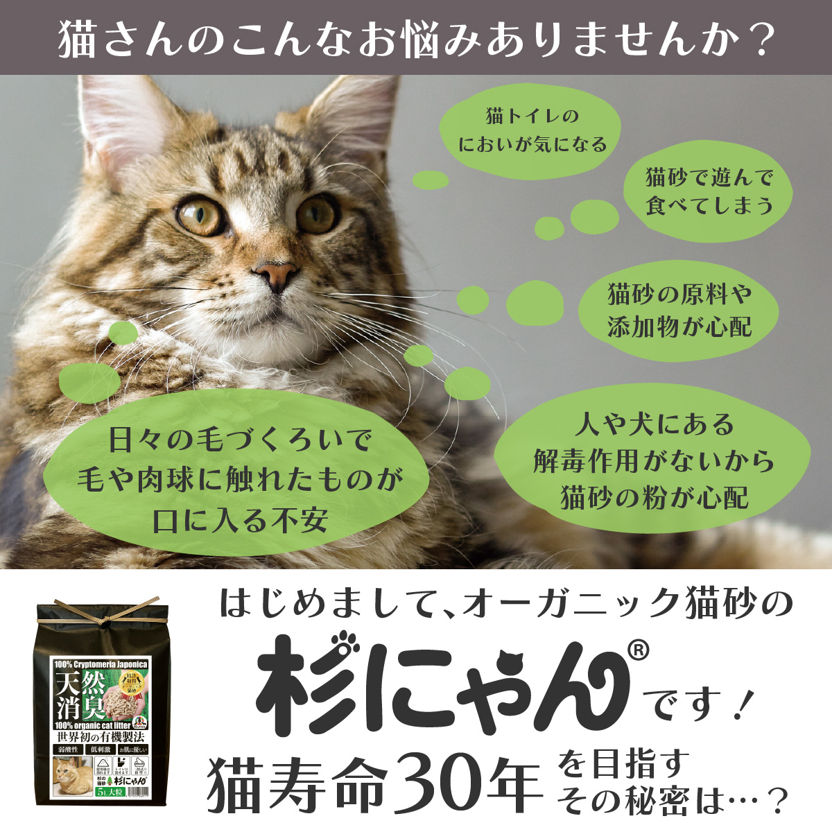 送料無料】 オーガニック猫砂 杉にゃん (命の猫砂) 大粒タイプ 大盛